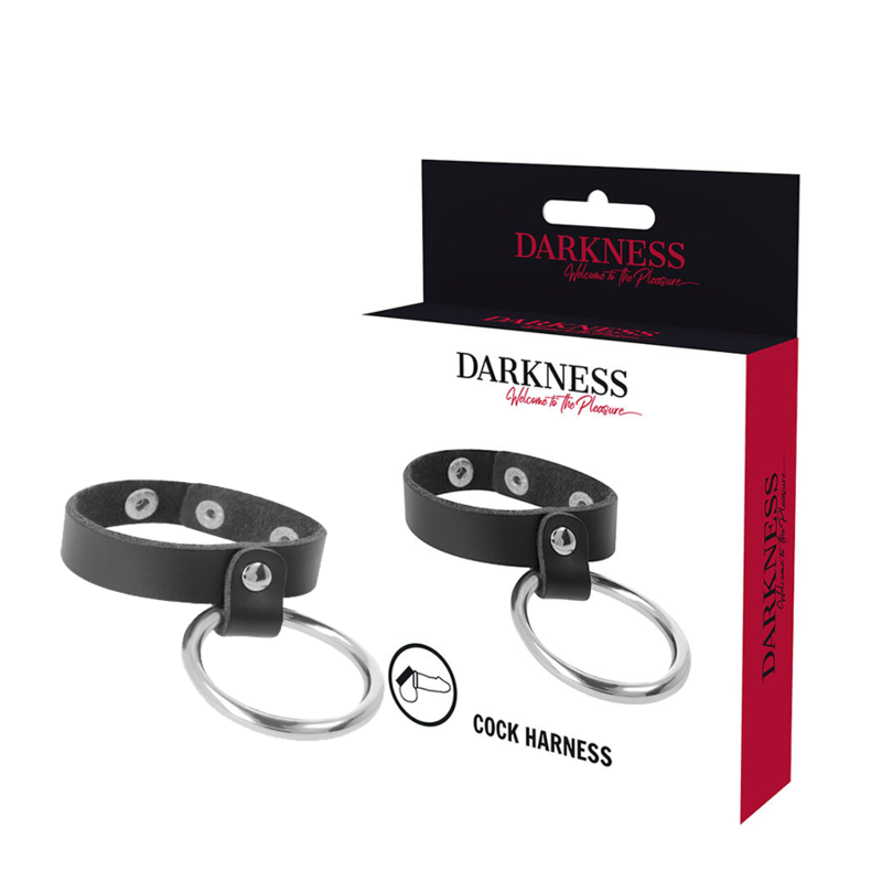 Darkness – Anneau Métallique pour Pénis et Testicules