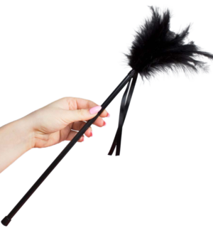 Secretplay - Plumes Noires de 40 cm - Gabychou - Accessoires