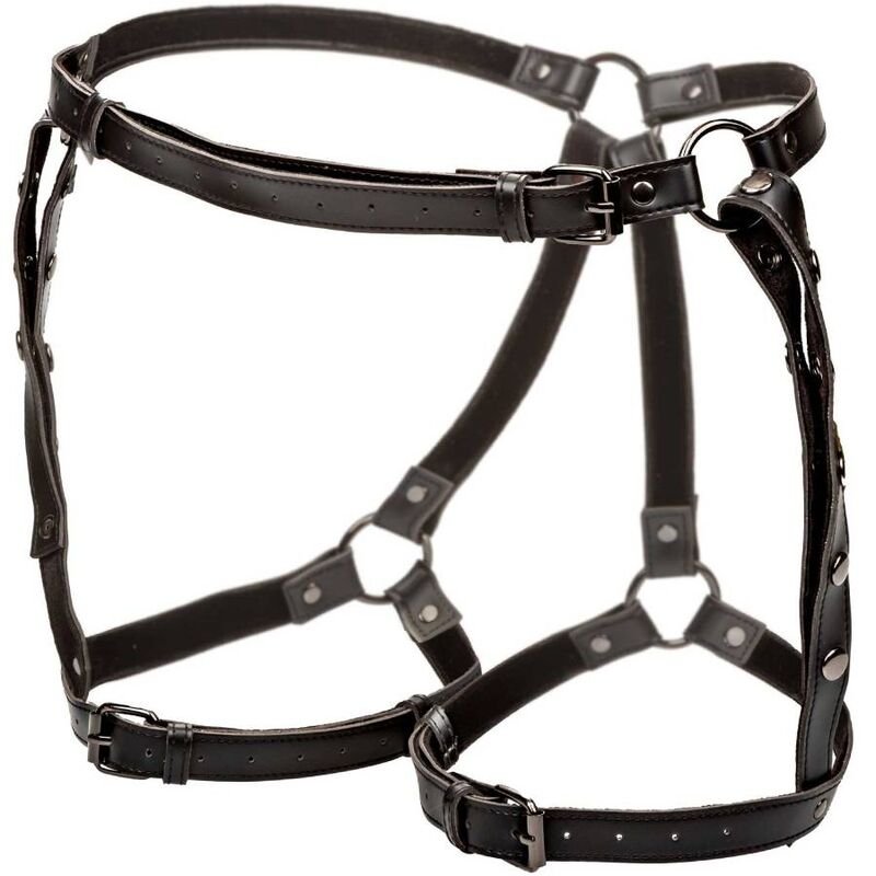 Style Équitation - Harnais de Cuisse - Gabychou - Articles BDSM